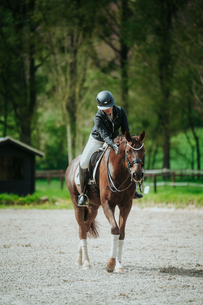Pferdesport, Pferd, Säugetier, Person, Leute