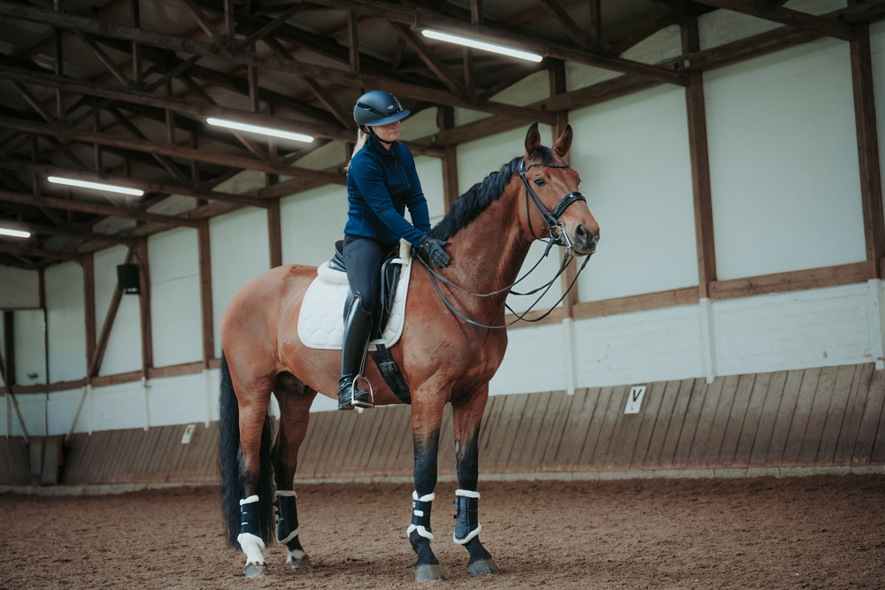 Person, Tier, Pferd, Säugetier, Reiten