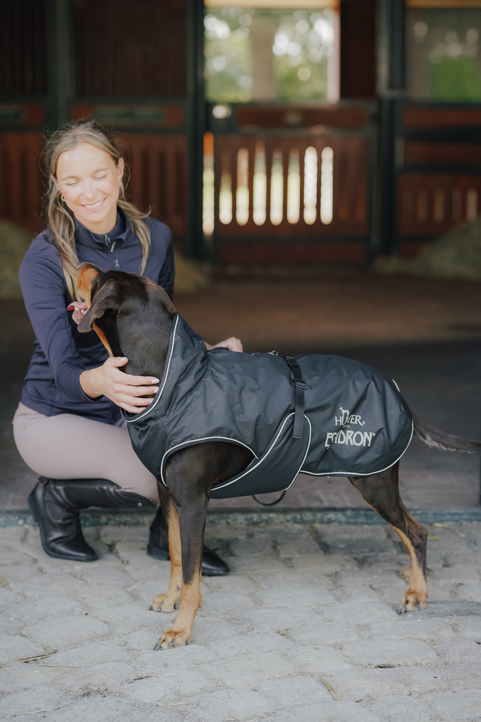 Hund, Hund, Jacke, Schutzhülle, Hundemaß, Hundedecke, Hundemantel, Gurtband, Draußen, Pferdesport