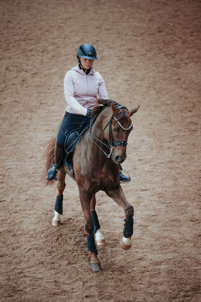 Person, Pferdesport, Pferd, Säugetier, Reiten