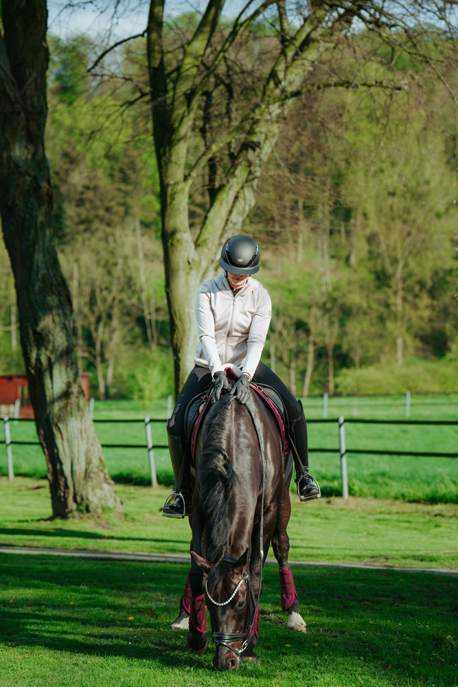 Person, Pferdesport, Pferd, Säugetier, Menschen