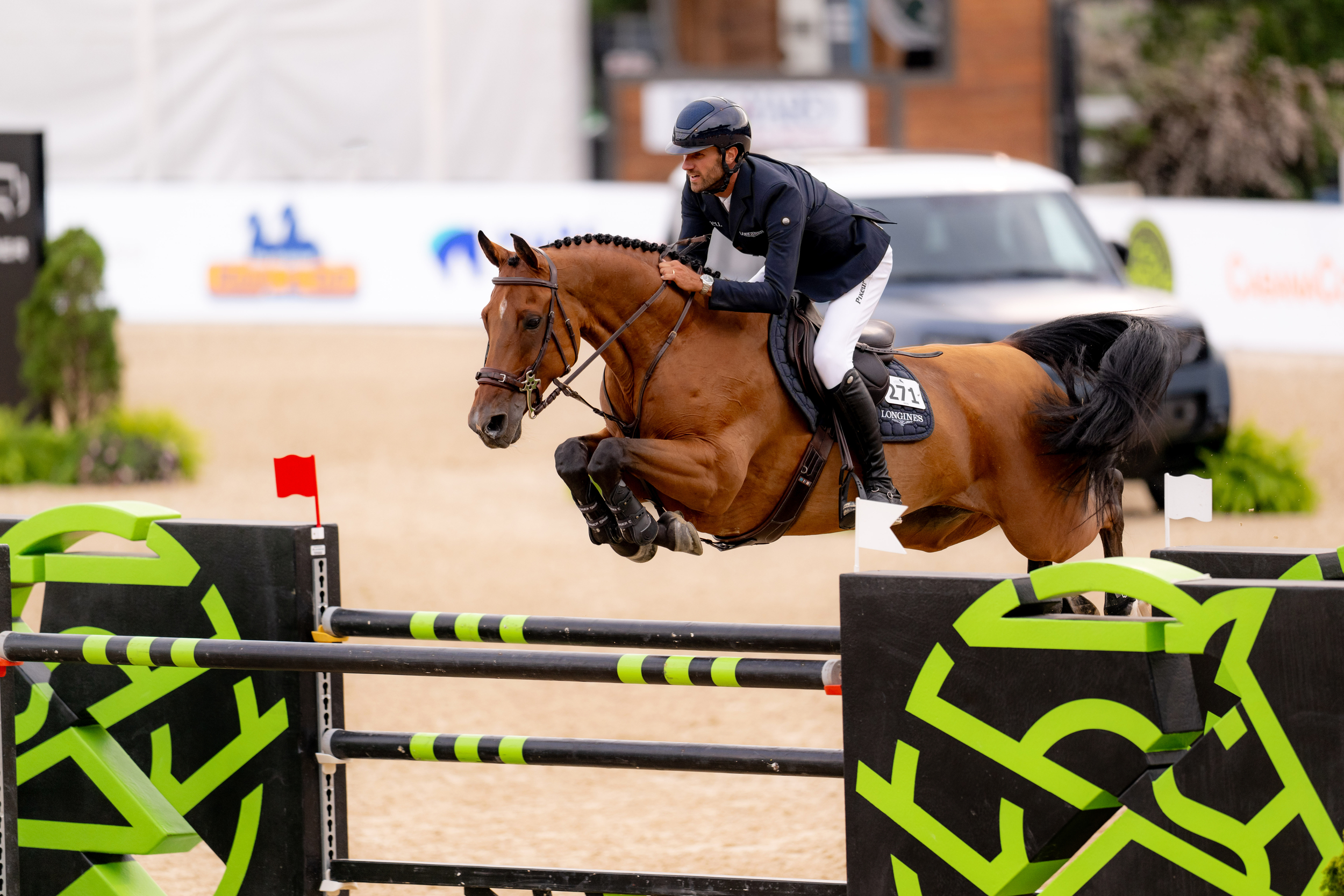 Pferd, Springen, Reiter, Springreiten, Springparcours