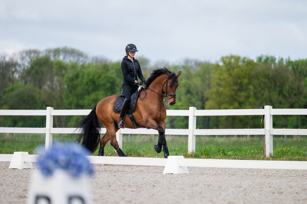 PIKEUR NEW LUGANA FFL