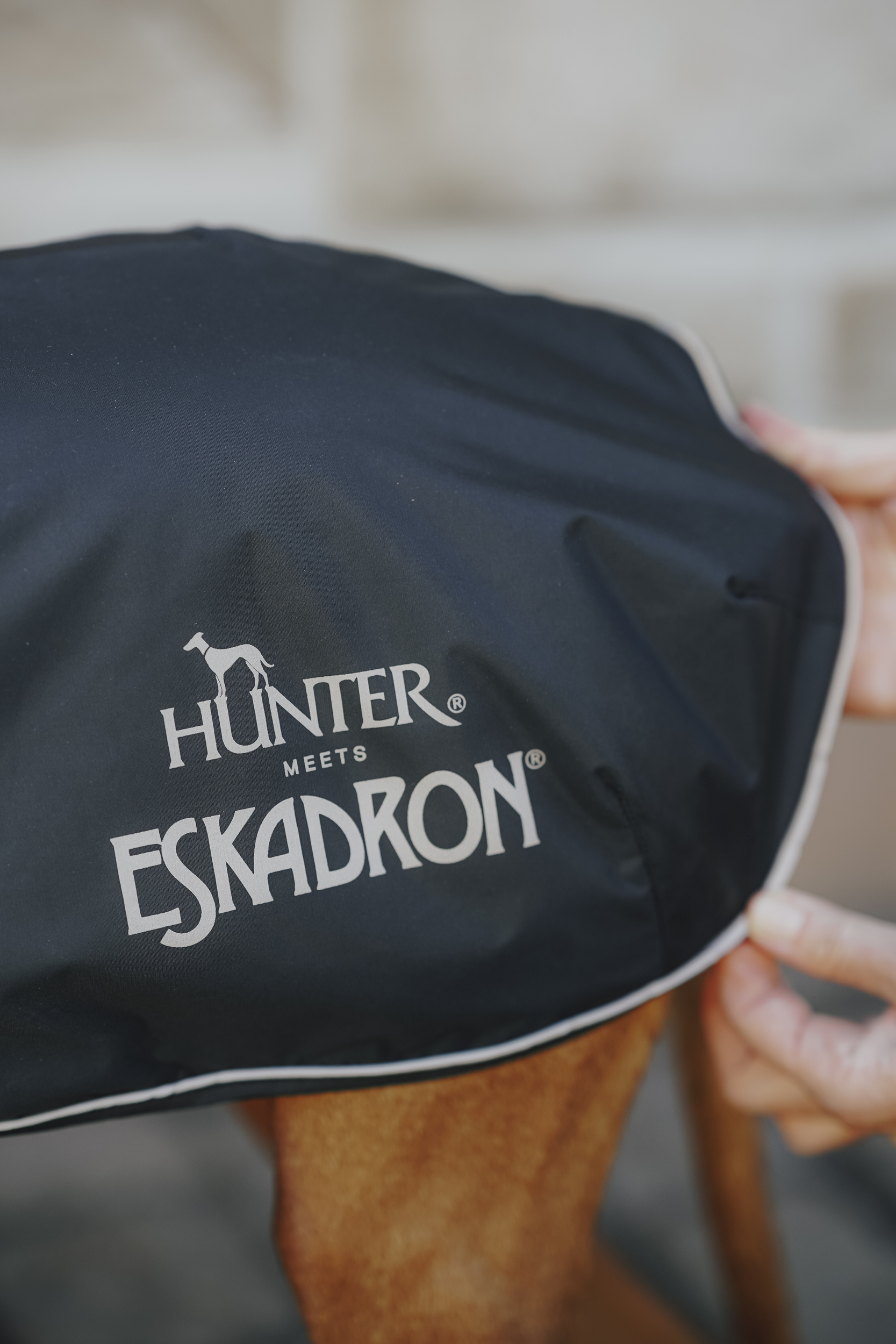Hundedecke, Hundeabdeckung, Hunde-Decke, Schutzhülle, Reißverschluss, Schwarz, Eskadron-Logo