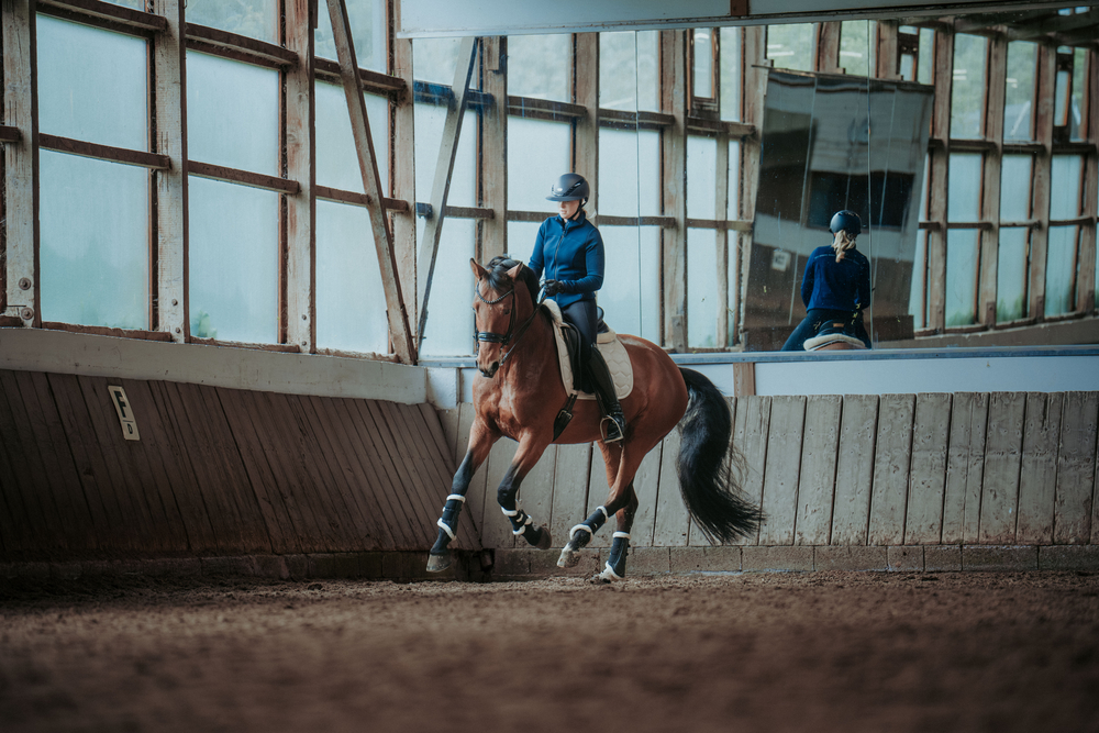 Person, Tier, Pferd, Säugetier, Reiten
