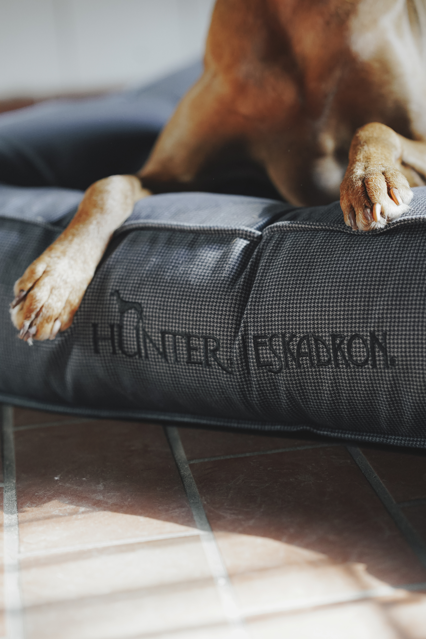 dog bed, dog paw, Houndstooth, Textile bed, Tierzubehör, Hund, Hundebett, Hundeplatz, Textilbett, Pet Bed