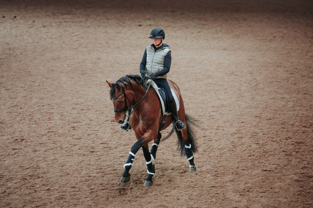 AIRLUXE SUPREME GLAM Long Visor Pferdesport, Pferd, Säugetier, Person, Leute