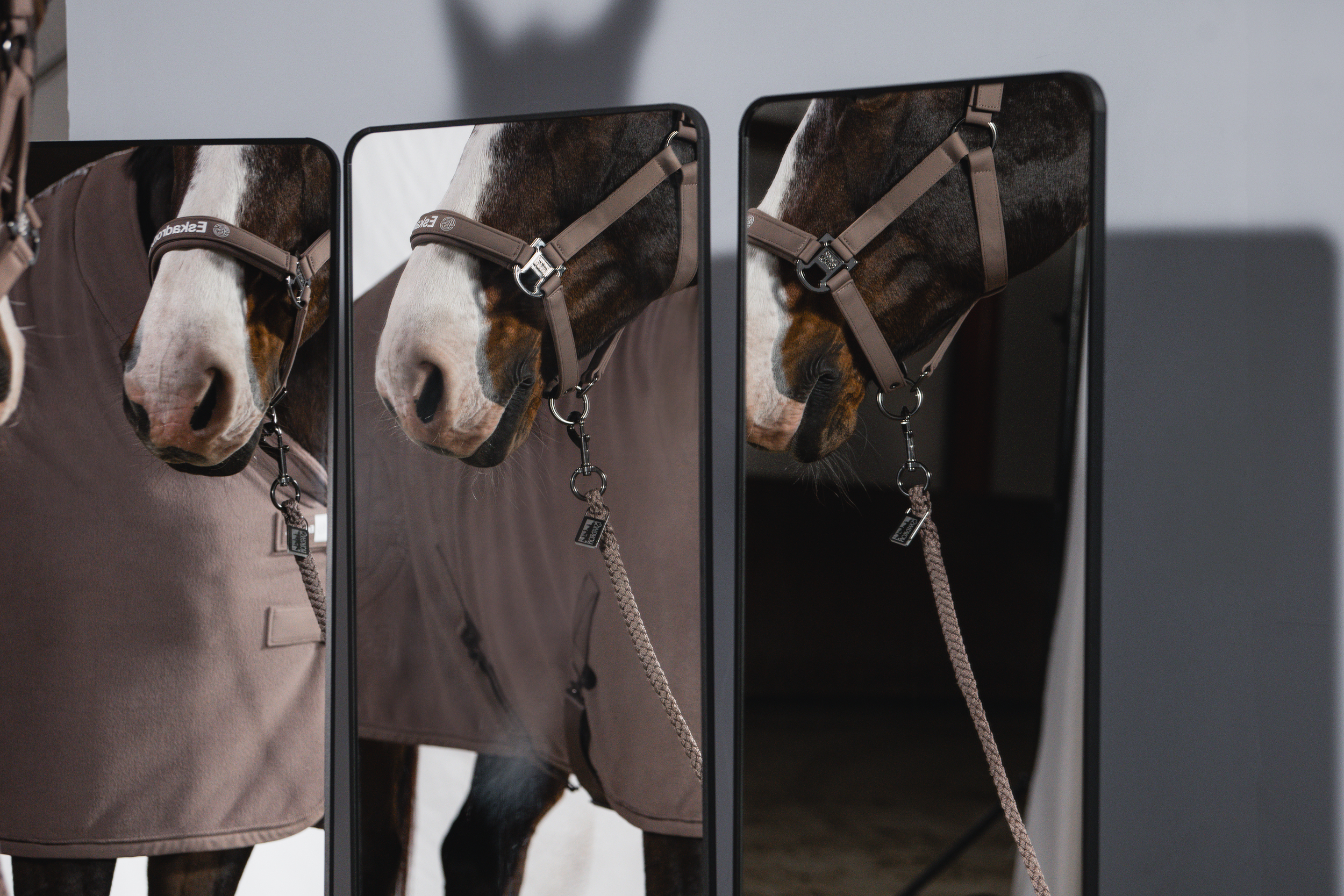 horse, horsehead, bridle, reins, spiegelpaneele