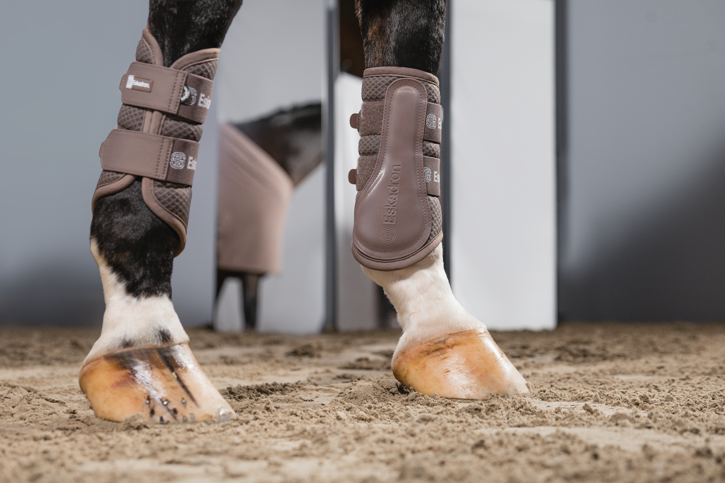 Pferd, Hufschuhe, Beinschutz, Vorderbeine, Sandarena