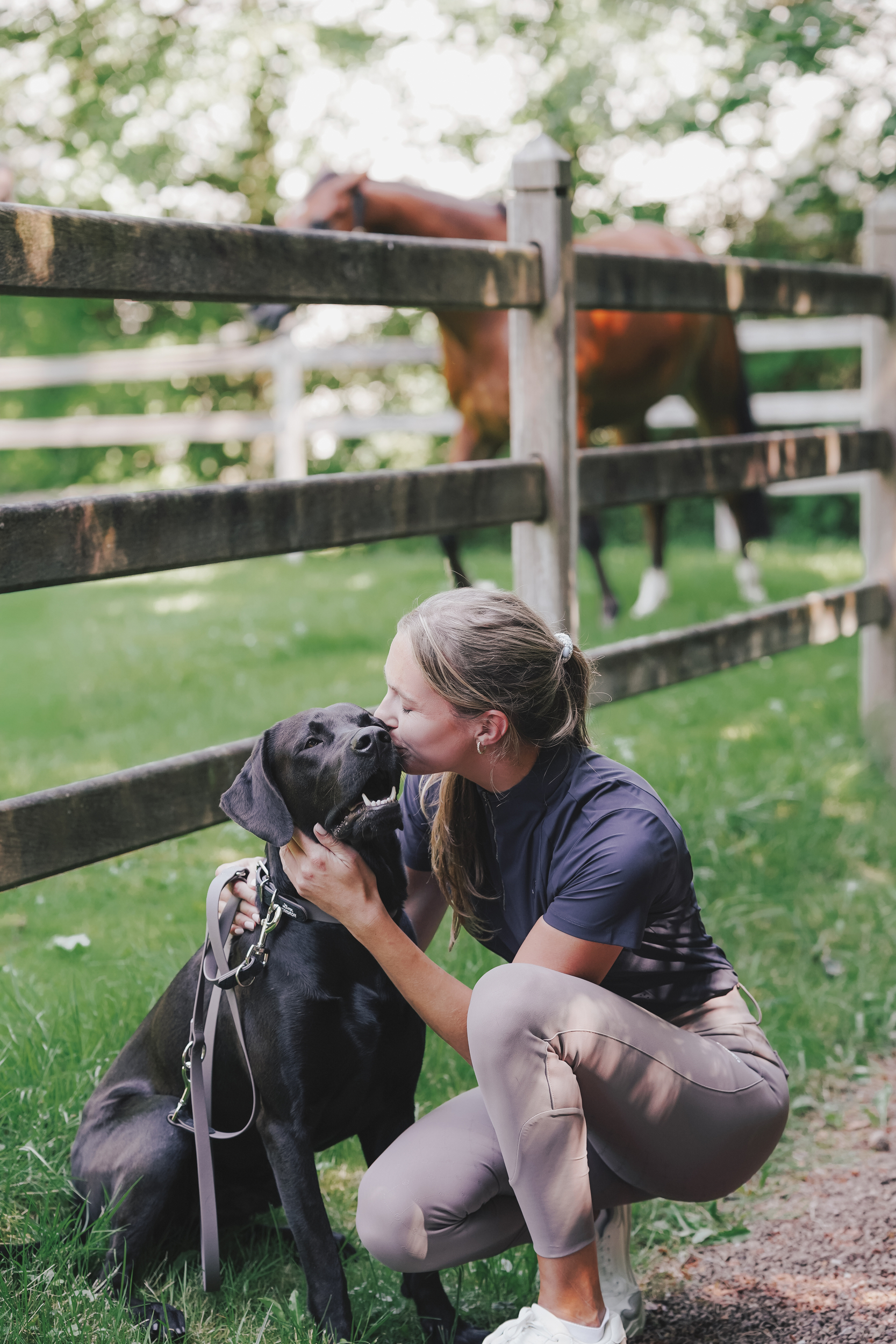 Hund, schwarzer Hund, Leine, Frau mit Hund, Außerhalb Szene, Hund, Hundebesitzer, Knochen, Halsband, Leine