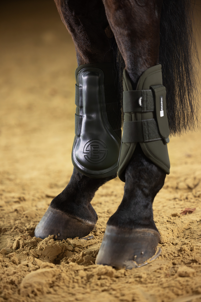 Pferd, Säugetier, Stiefel, Schuhwerk, Reitstiefel