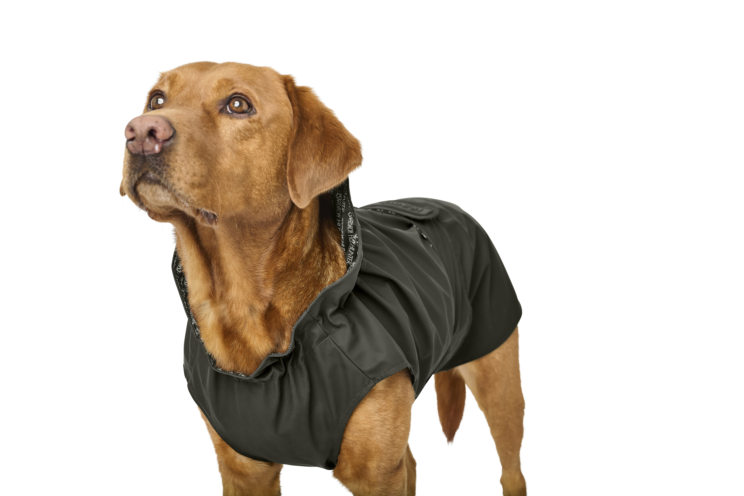 RAINSHIELD