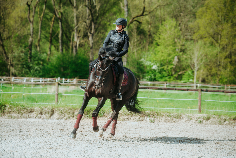 AIRLUXE SUPREME GLAM Long Visor Person, Tier, Pferd, Reiten, Säugetier
