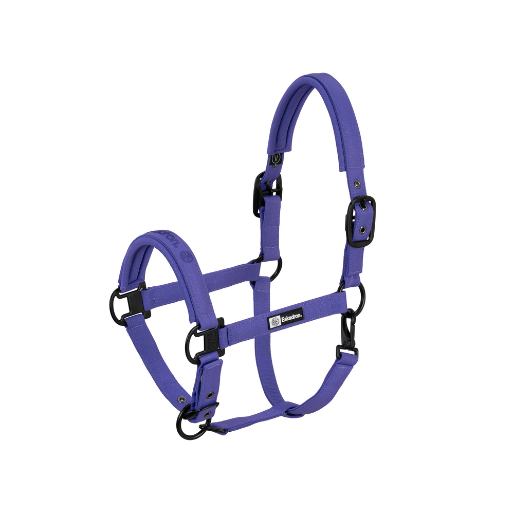 Sparkle Double-Pin