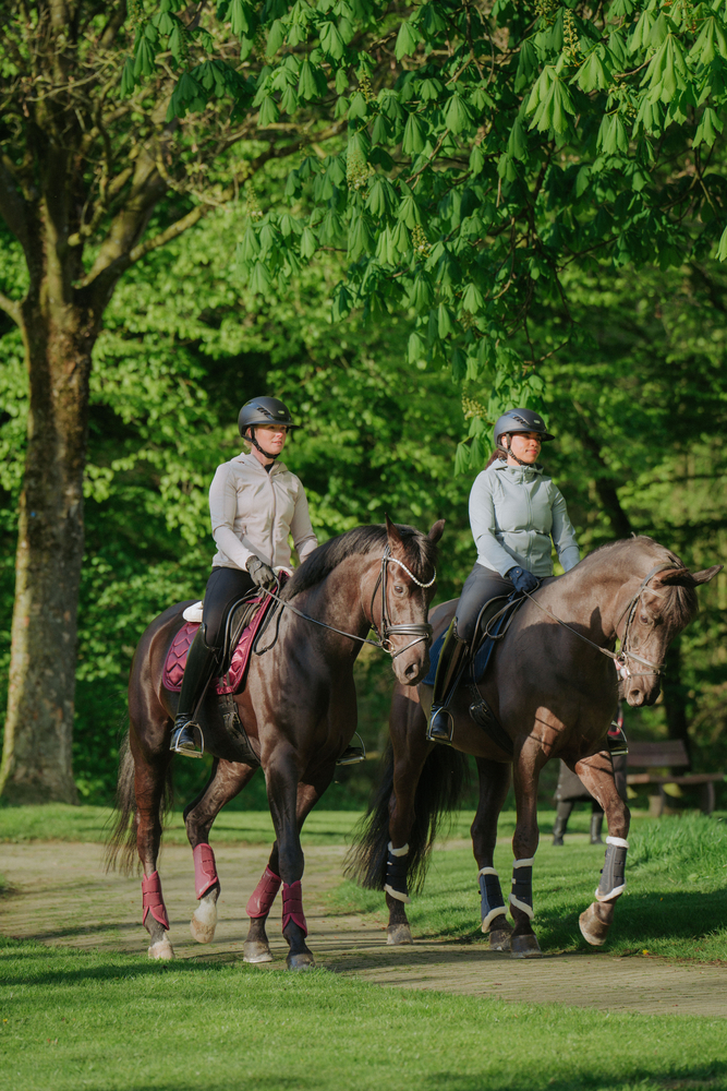Pferdesport, Pferd, Säugetier, Person, Leute
