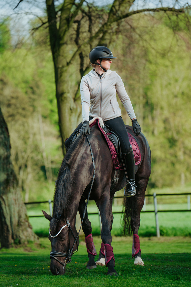 Person, Säugetier, Pferd, Helm, Reiten