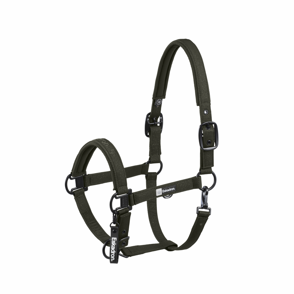 Harness