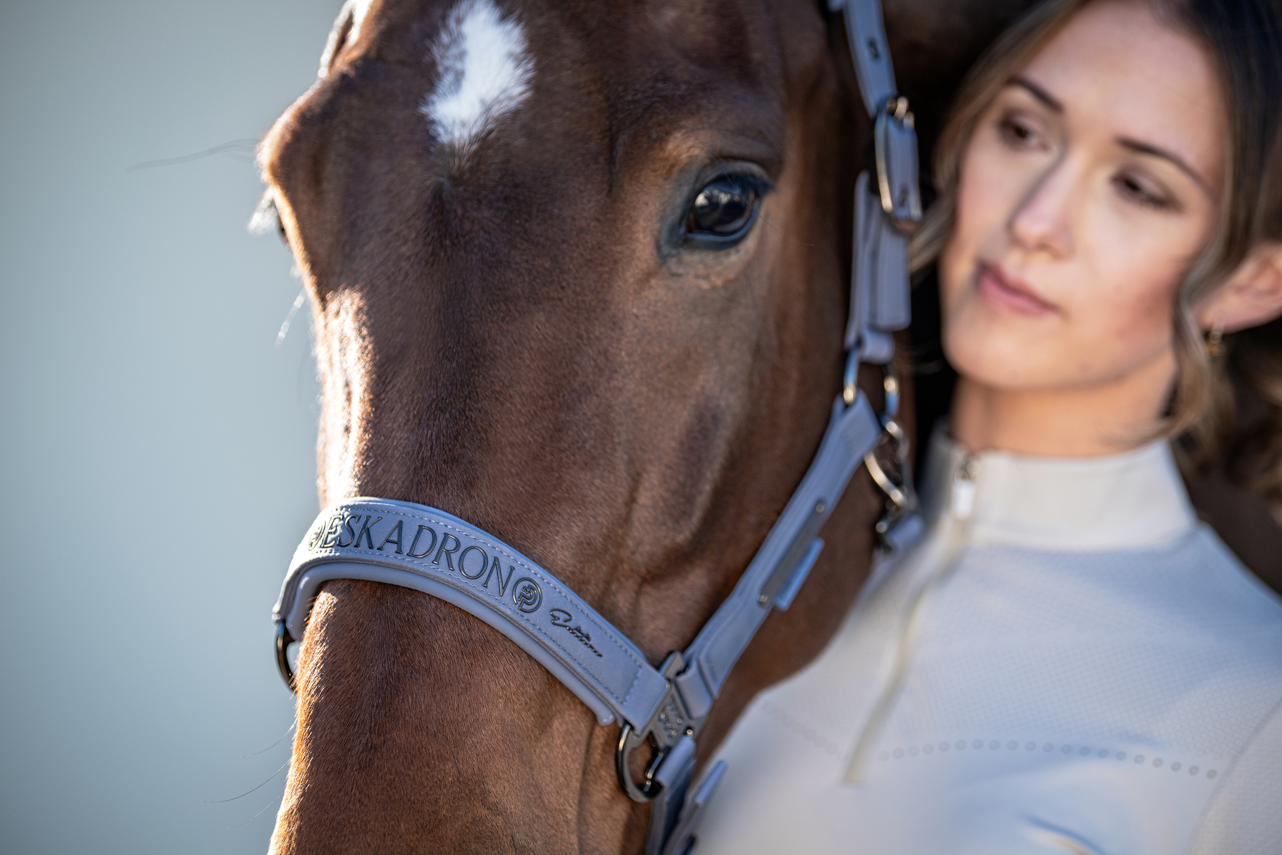 equestrian, horse, Halfter, Kopfstück, blaugrau, Pferd, Pferdekopf, Halfter, Trense, grau