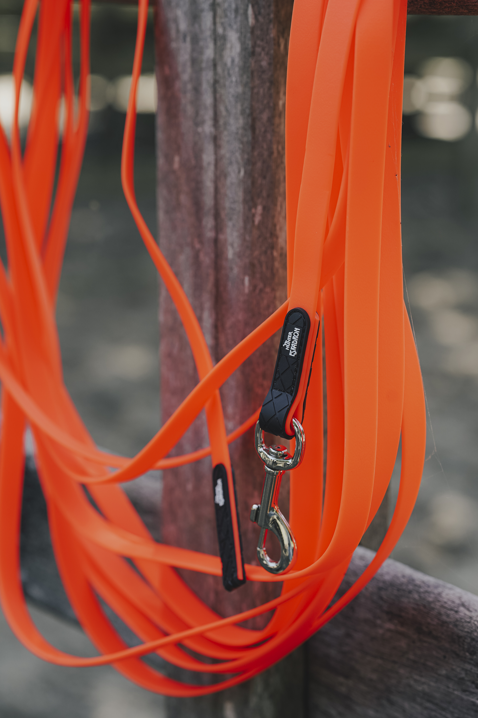 orange leash, leash with clip, dog leash, clip buckle, metal clasp, Schnur, Kabel, Lanyard, Karabiner, Halterung