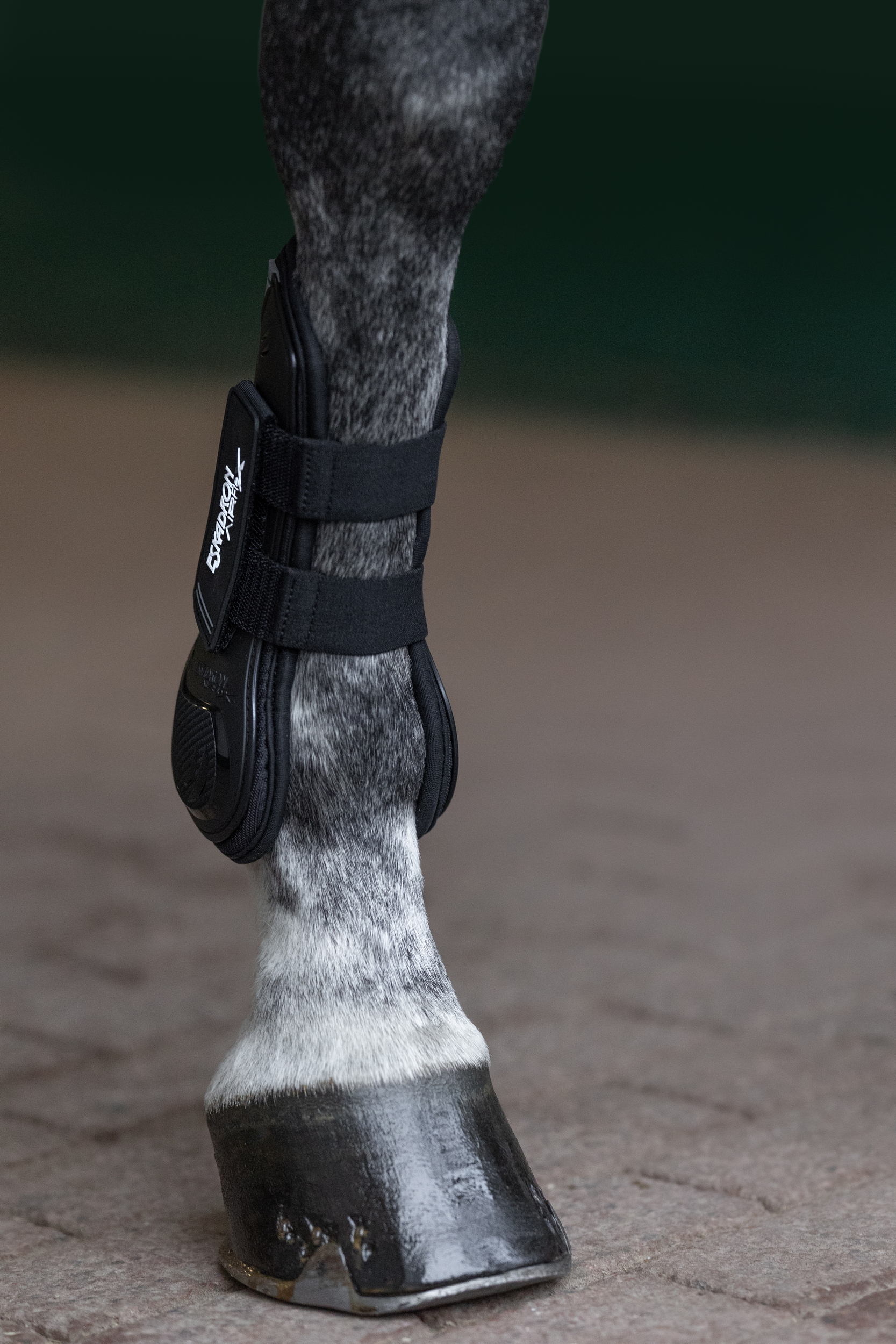 Hufschutz, Gallopphuf, Stützung, Gehstock, Reiten