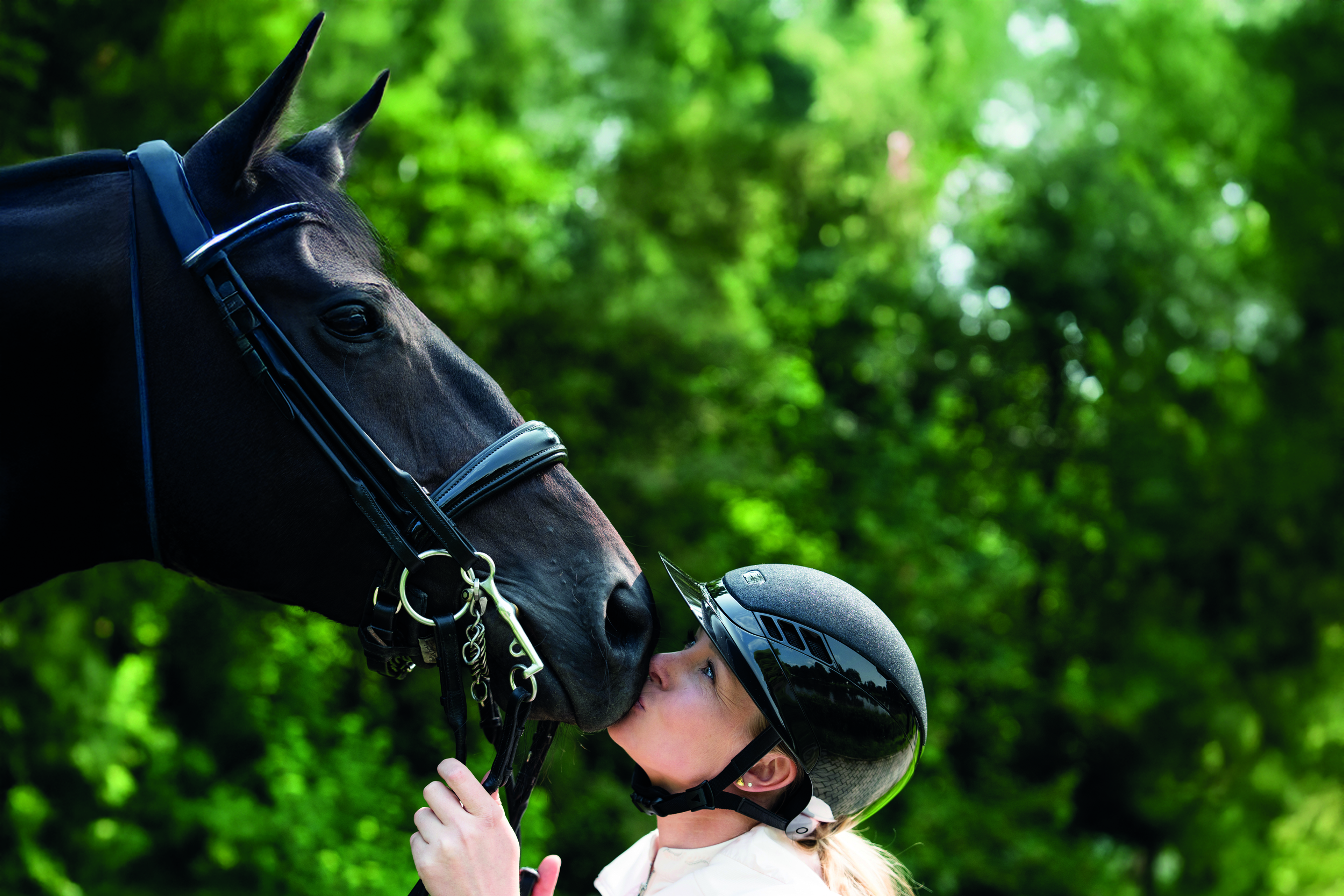pferd, reitensport, helm, trense, kuss