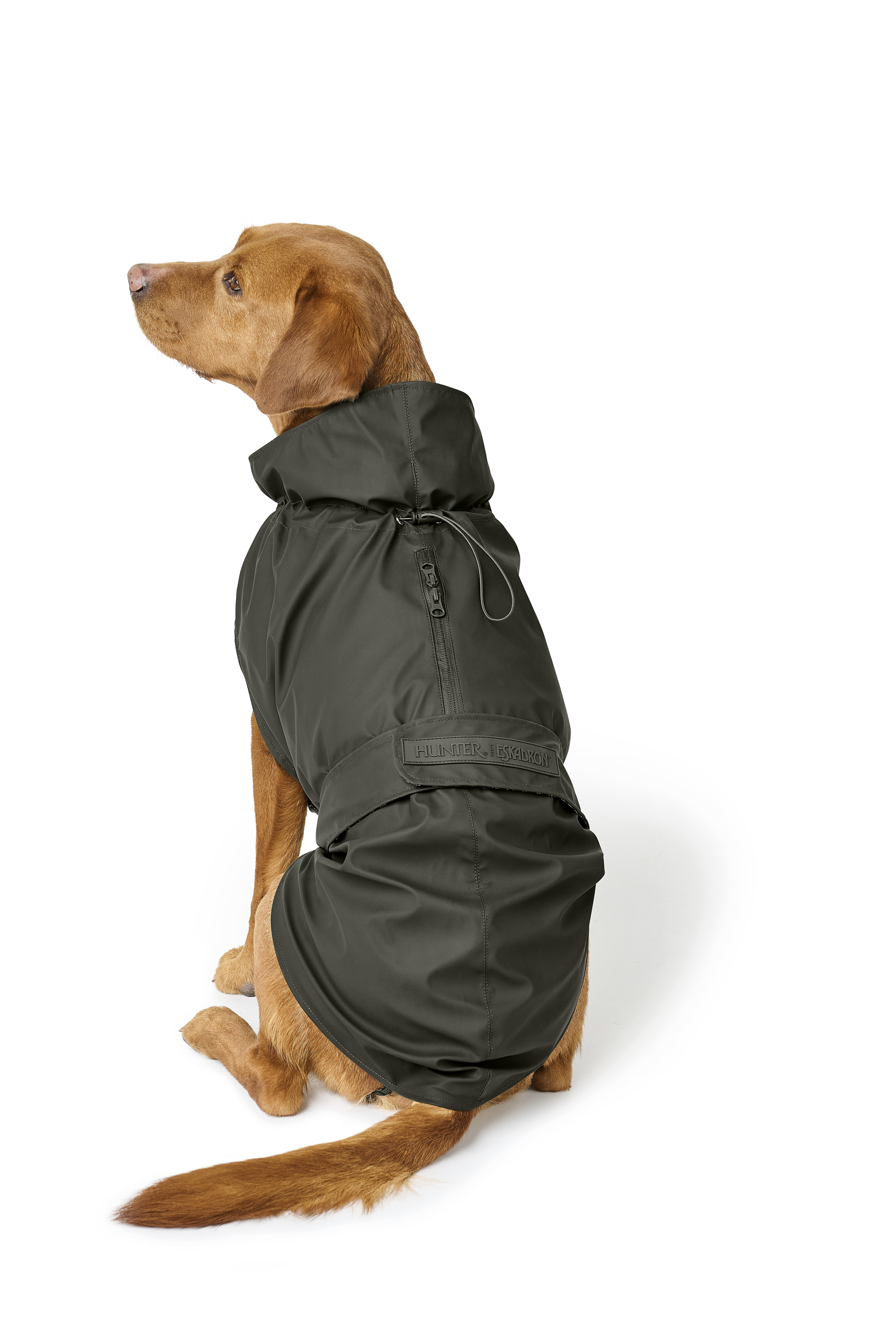 RAINSHIELD