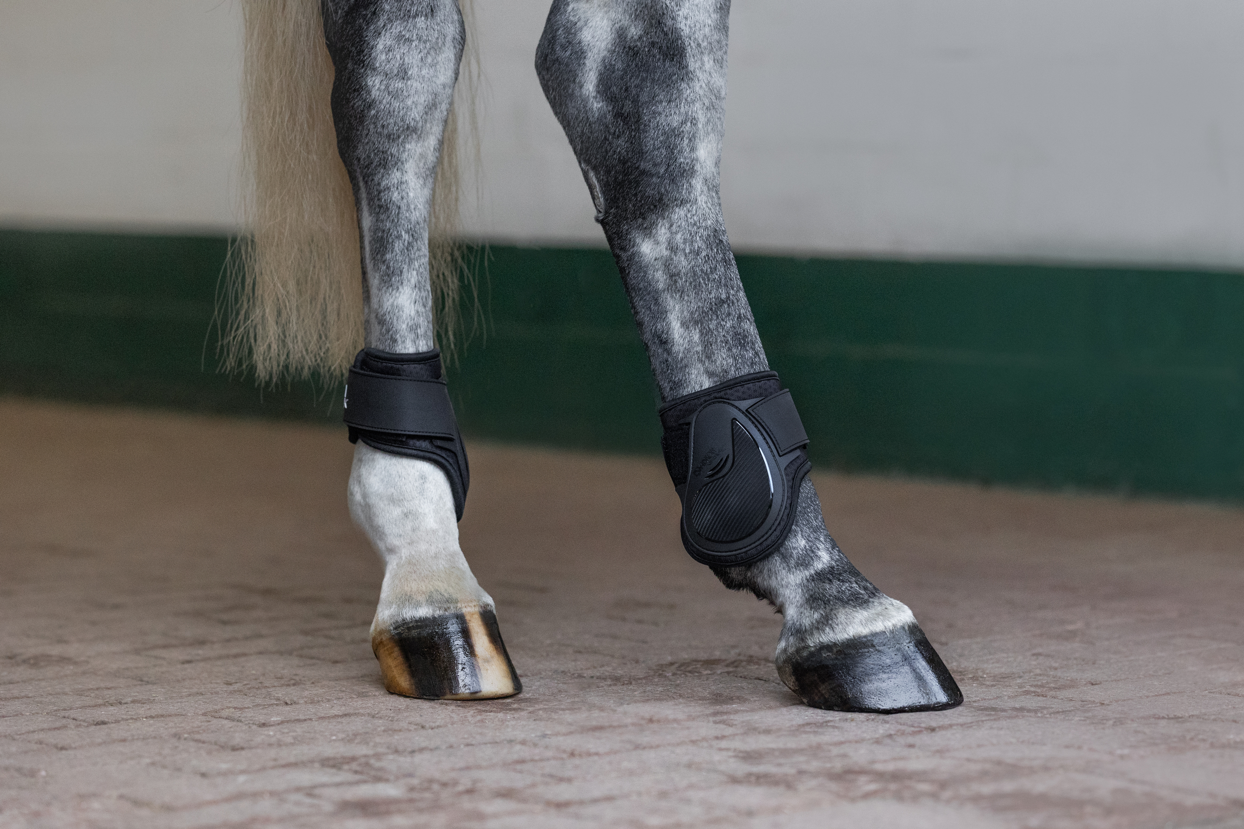 Pferd, Hufschuhe, Bein, Fell, Graue Muster