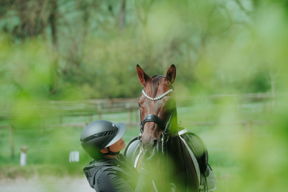 Helme, Pferdesport, Säugetier, Person, Colt Horse