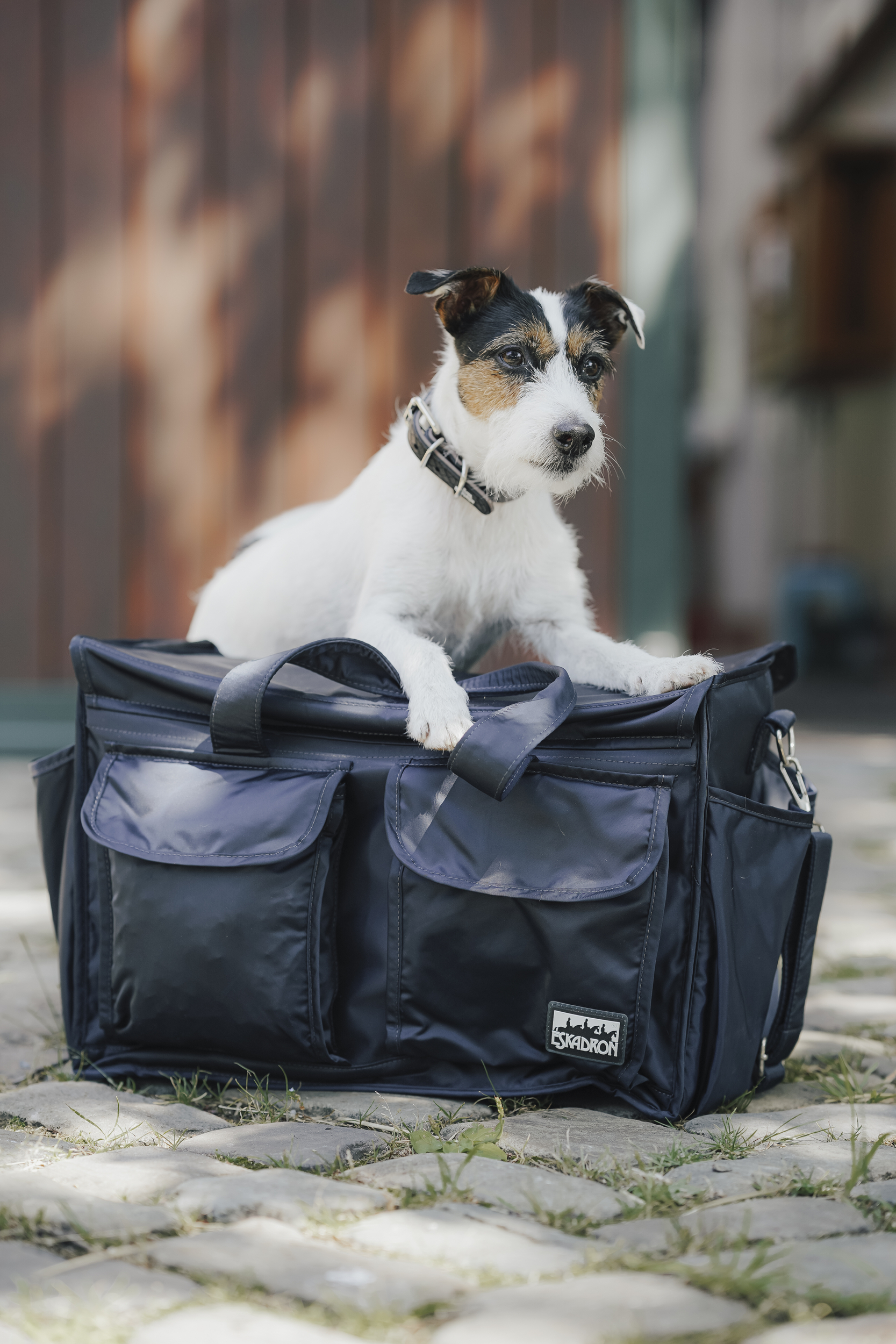 Hund, Jacke, Gepäck, Tragetasche, Collar, Hund, Jacke, Hunde Tragetasche, Nachtblau, Gepäcktasche