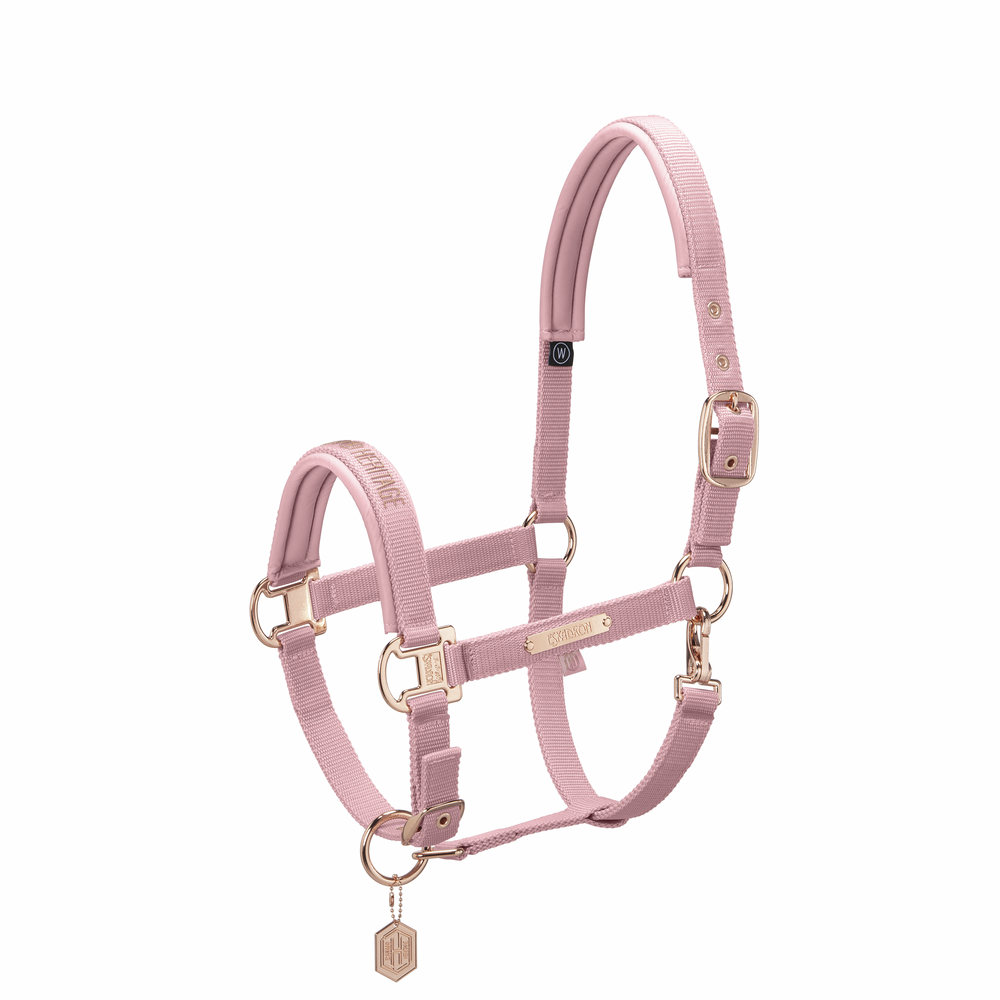 PIN BUCKLE