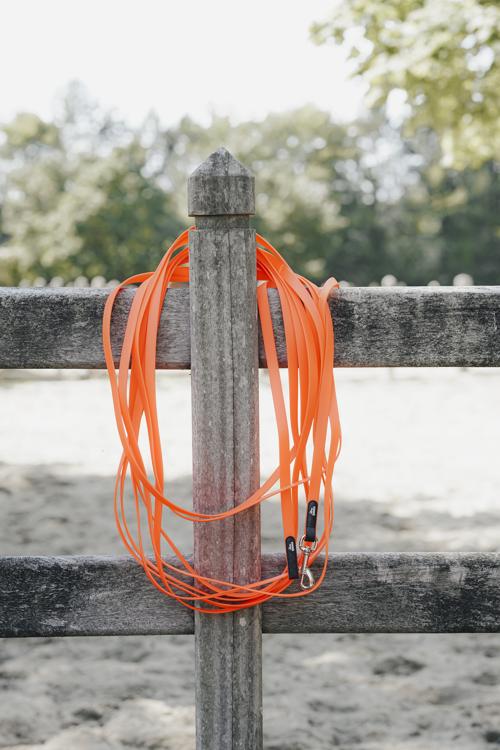 orange leash, Gurtband, Kordel, Band, Außenleine, orange cord, lanyard, paracord, rope, accessory