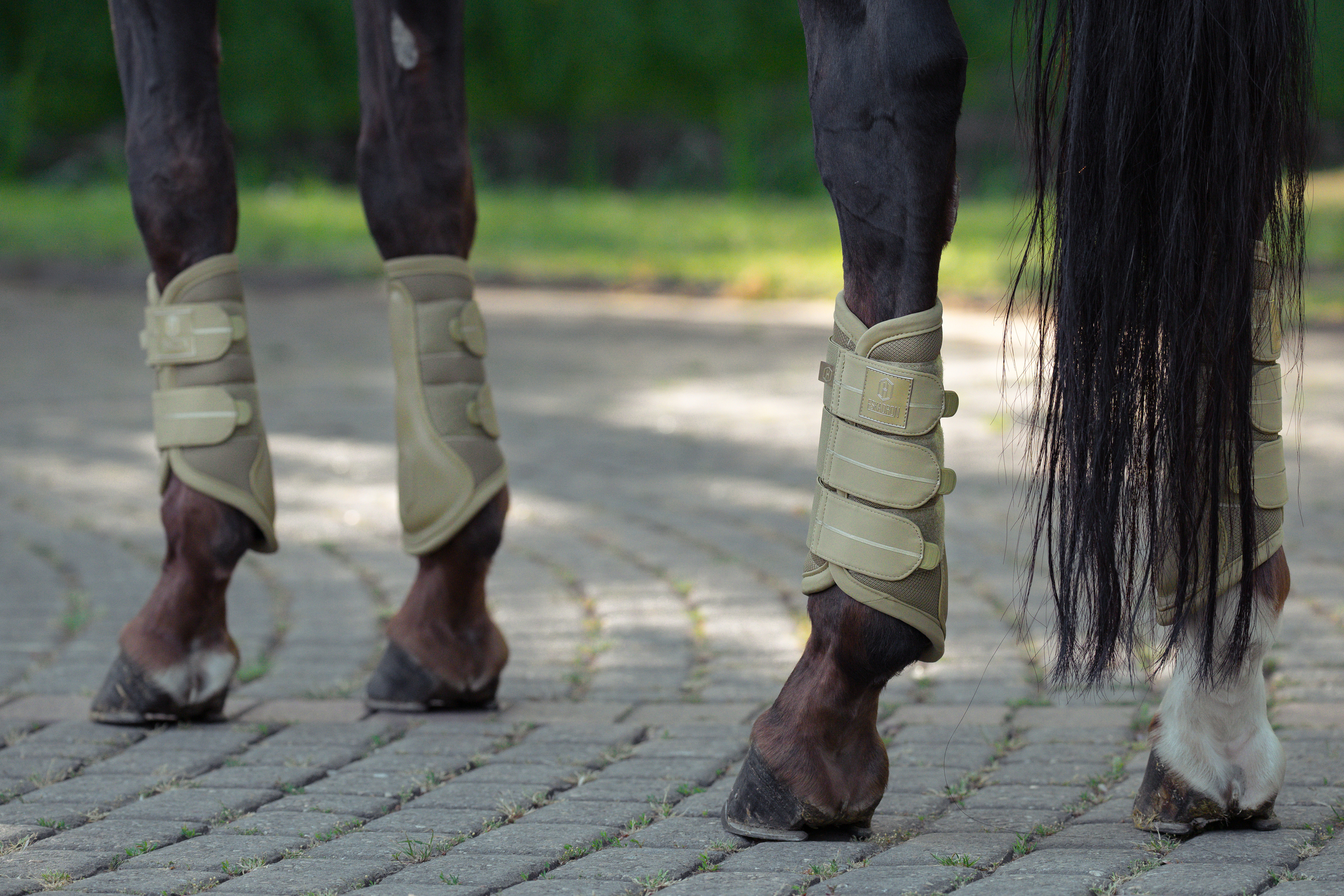 Person, Gehen, Schuhwerk, Schuh, Sandale
