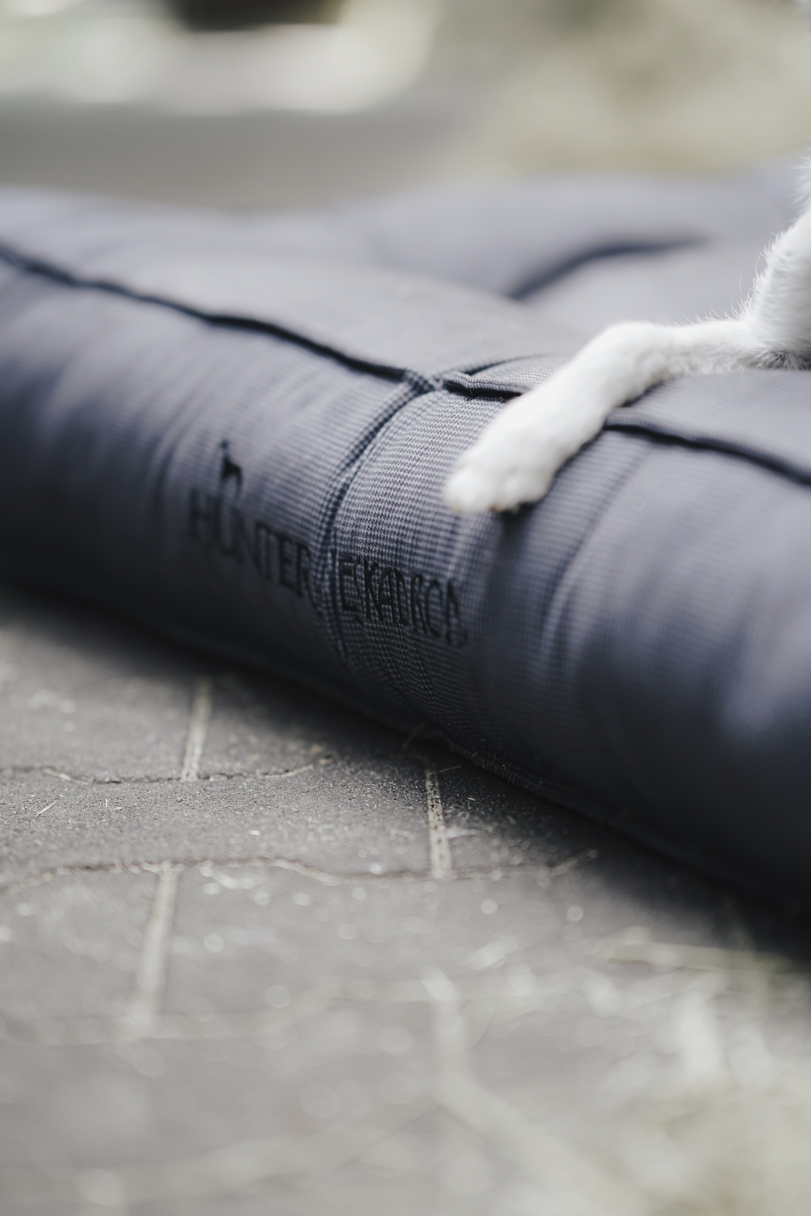 Kissen, Hunde-Bett, Außenkissen, Nylon-Gewebe, Aufgerollte Matte, Hundebett, Tiermatte, zusammengefaltet, Kissen, dunkelgrau