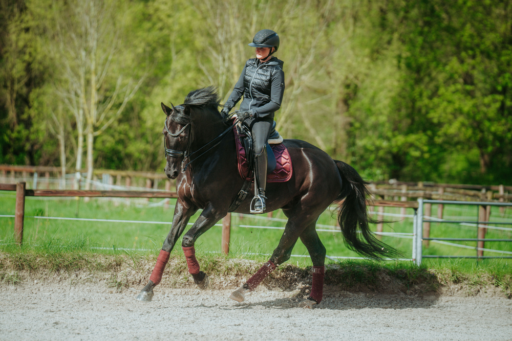 AIRLUXE SUPREME GLAM Long Visor Person, Tier, Pferd, Säugetier, Reiten