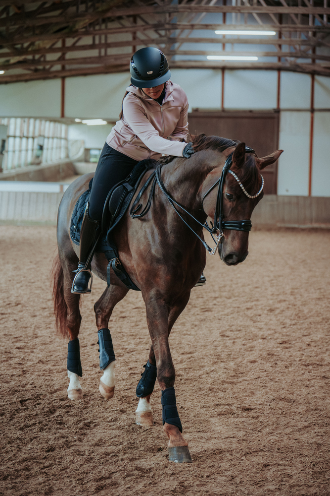 Pferdesport, Pferd, Säugetier, Person, Helm
