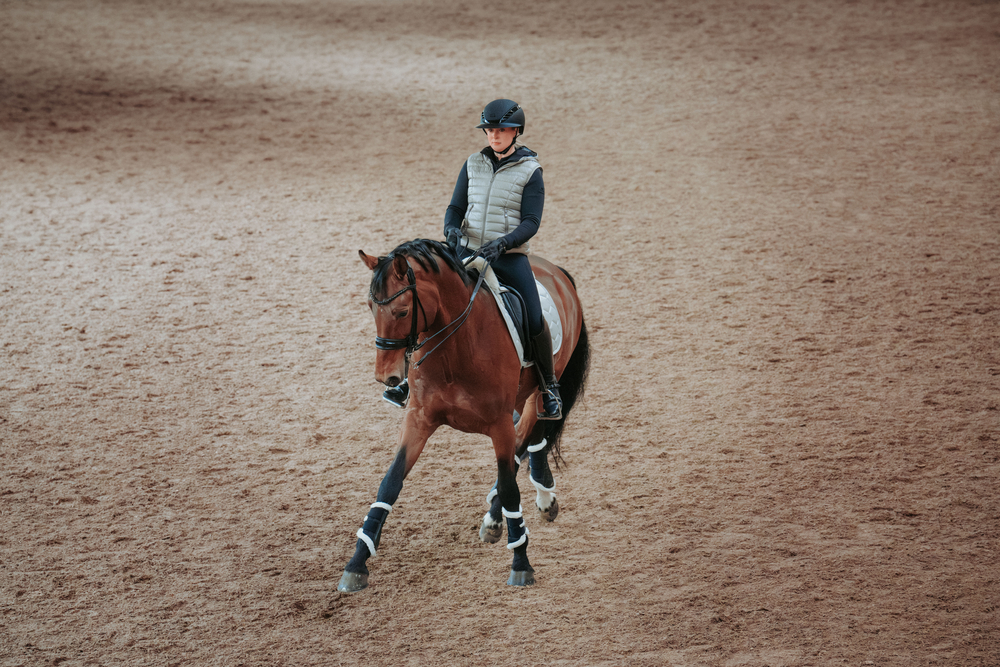 AIRLUXE SUPREME GLAM Long Visor Pferdesport, Pferd, Säugetier, Person, Leute
