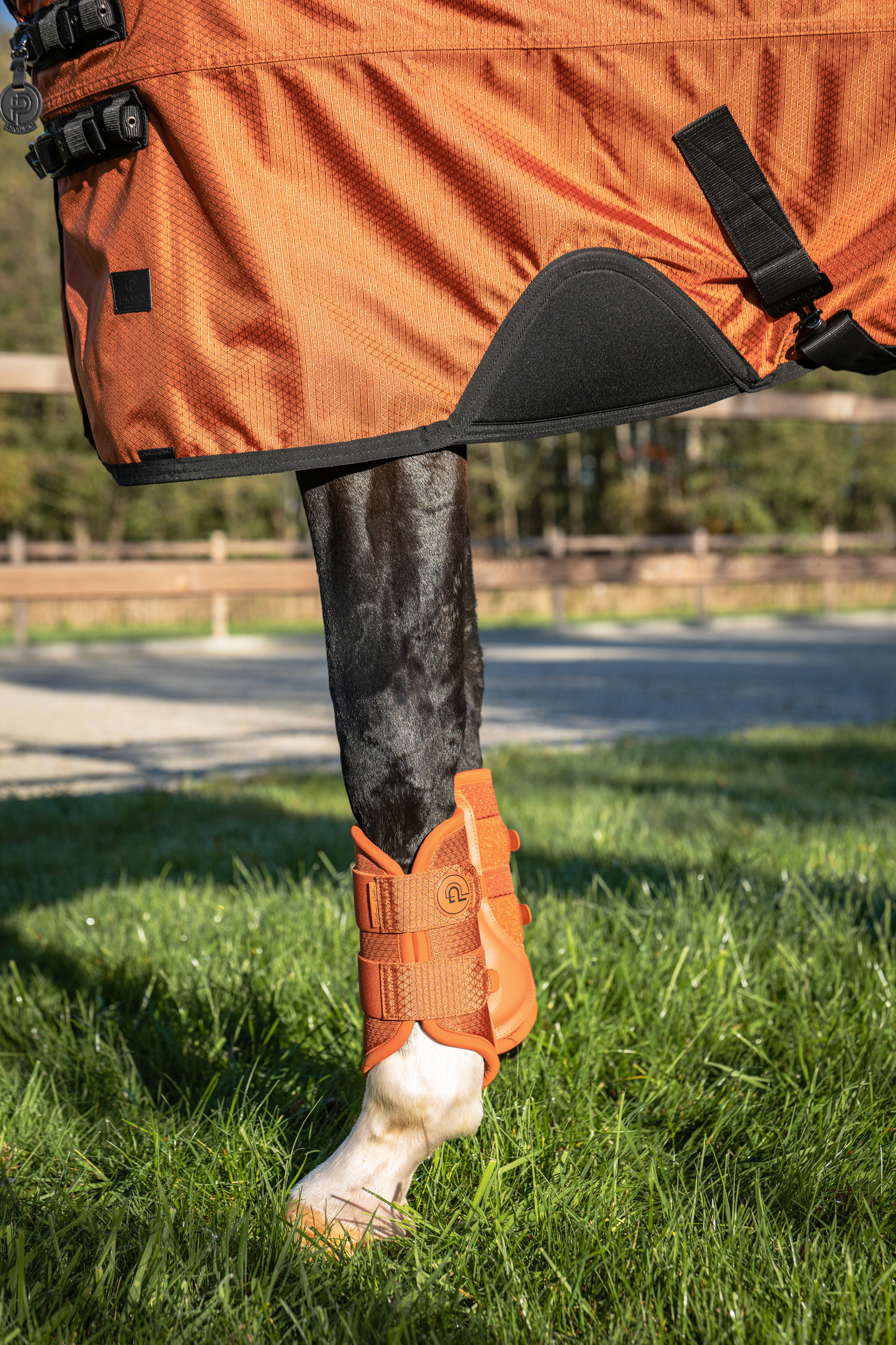hind leg, ankle boot, orange leg protection, horse leg wrap, gaiter, Hufschutz, Beinbandage, Hinterbein-Protektor, orangene Schuhen?