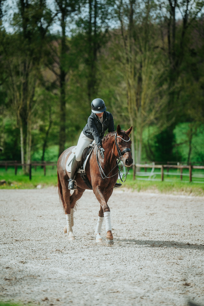 Person, Pferdesport, Pferd, Säugetier, Menschen