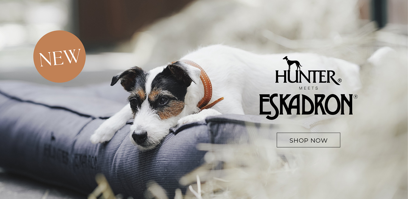 Hundehalsband, braunes Leder, Hundezubehör, Hundehalsband, Braunes Leder, Ziernähte, Hundebett, Grau gestreift, Hundehalsband, Lederhalsband, braun, Hundekissen