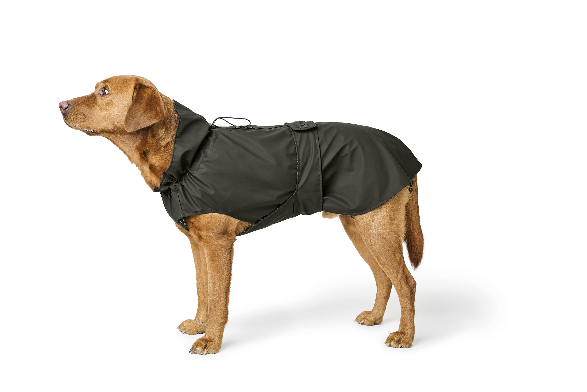 RAINSHIELD