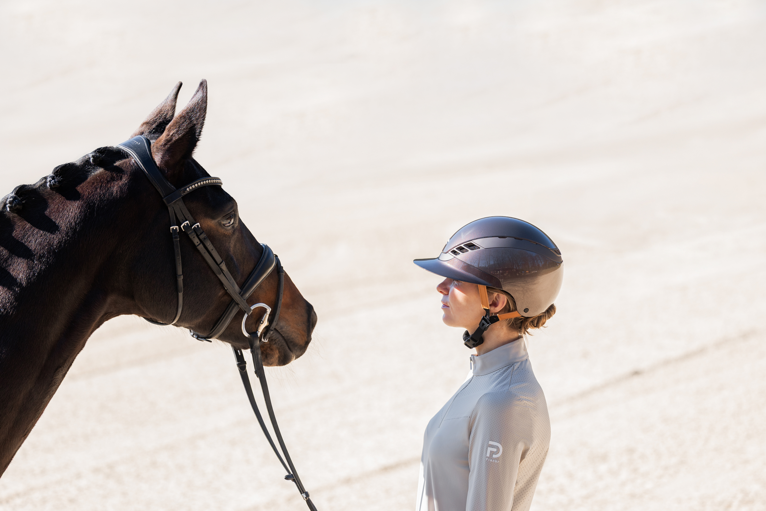 Reiter, Pferd, Brille, Helm, Reitoutfit