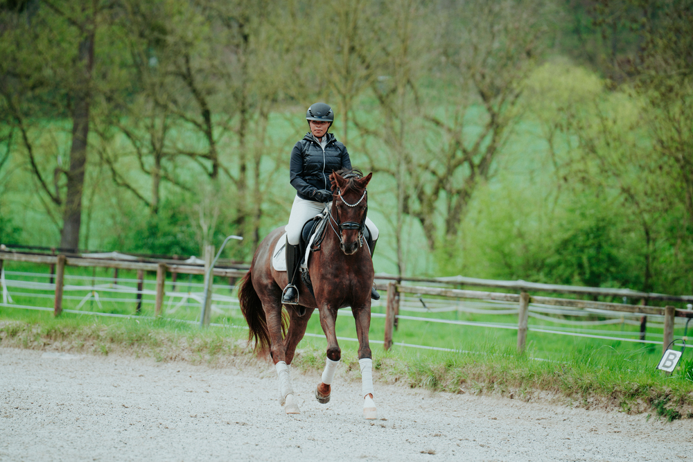 AIRLUXE SUPREME GLAM Short Visor Person, Tier, Pferd, Säugetier, Reiten