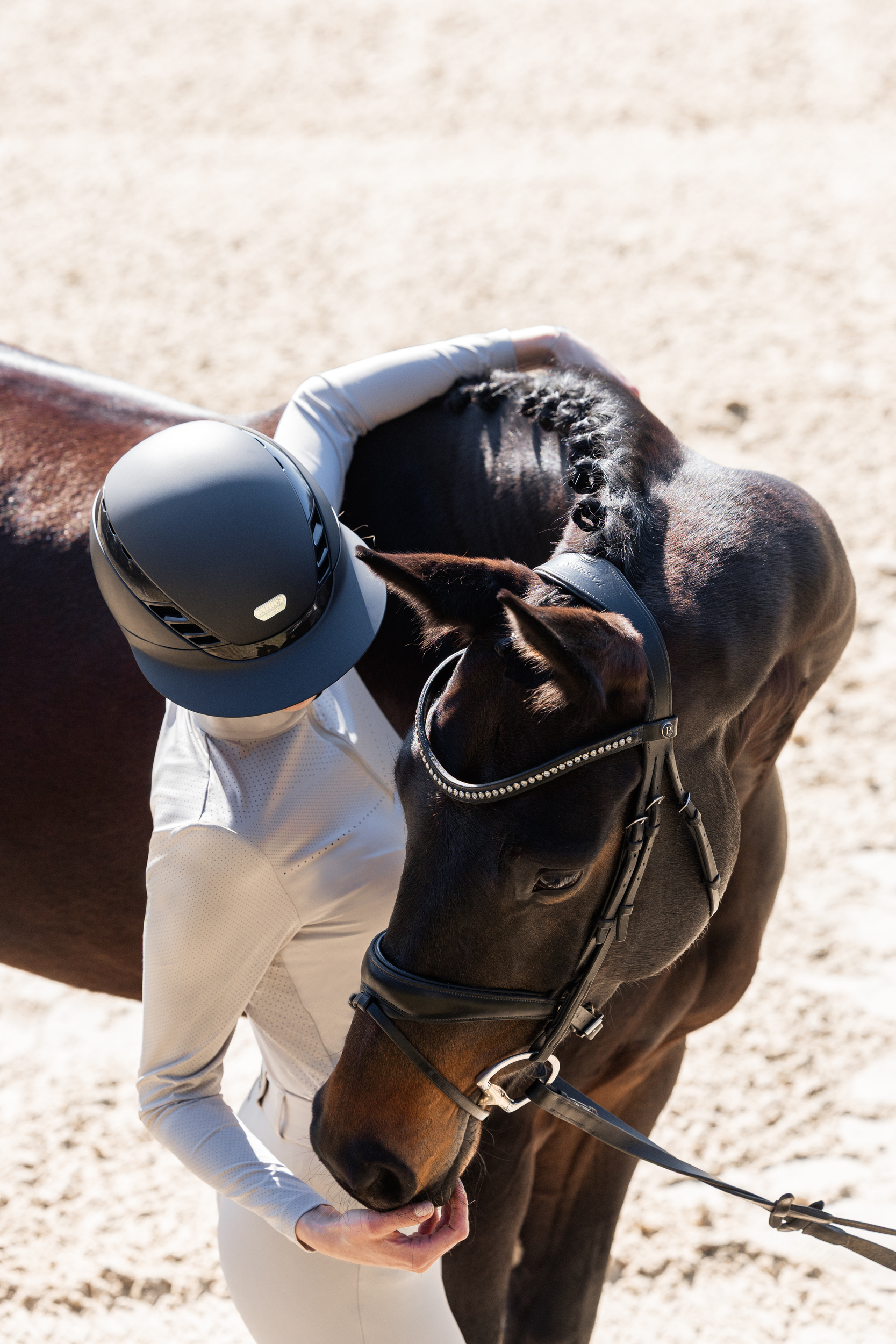 Pferd, Reitsport, Helm, Zäumung, Kopfstück