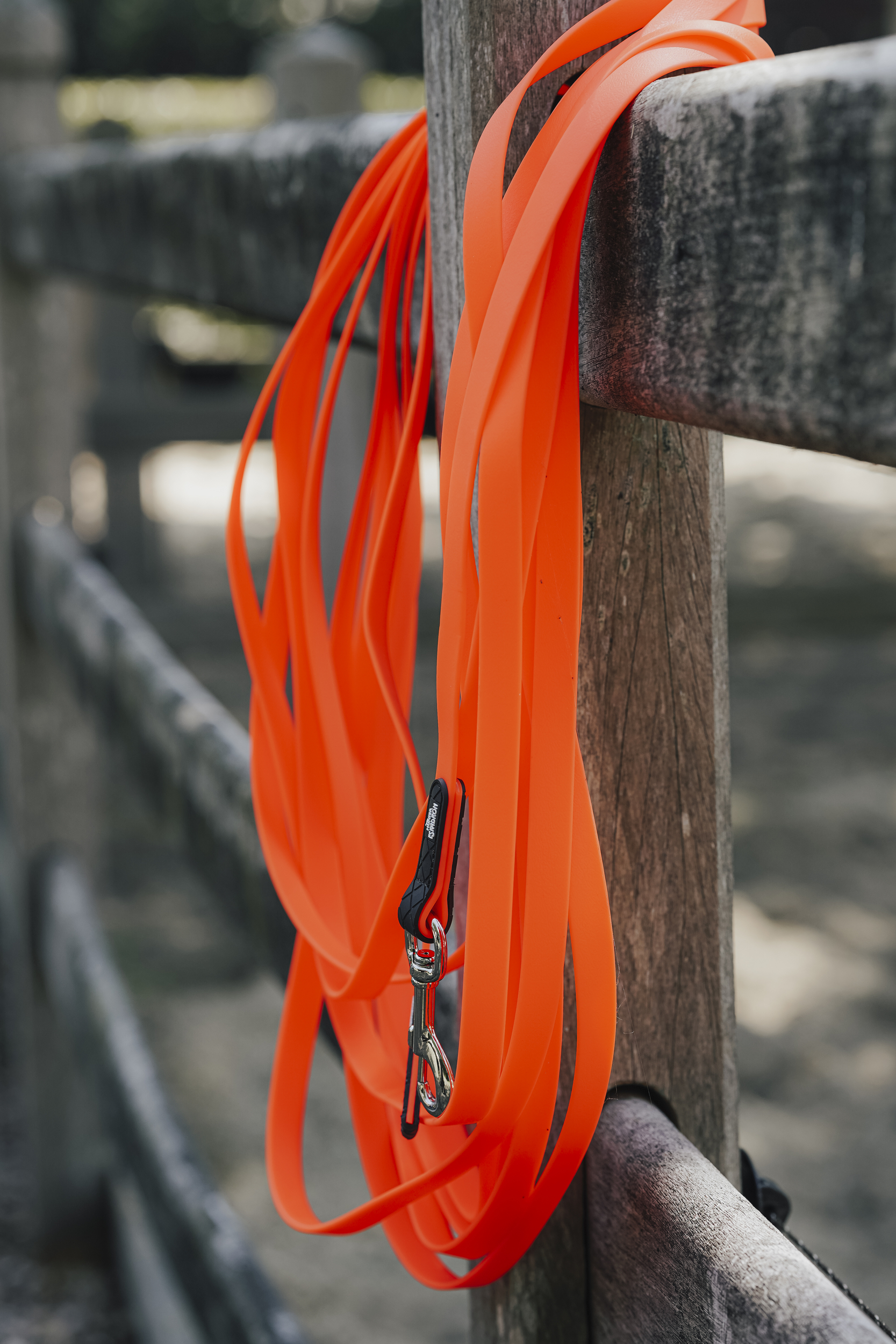 neon-orange, Schlaufen, Leine, Karabiner, Gurtband, orange leash, leash strap, clip, slip hook, neon color