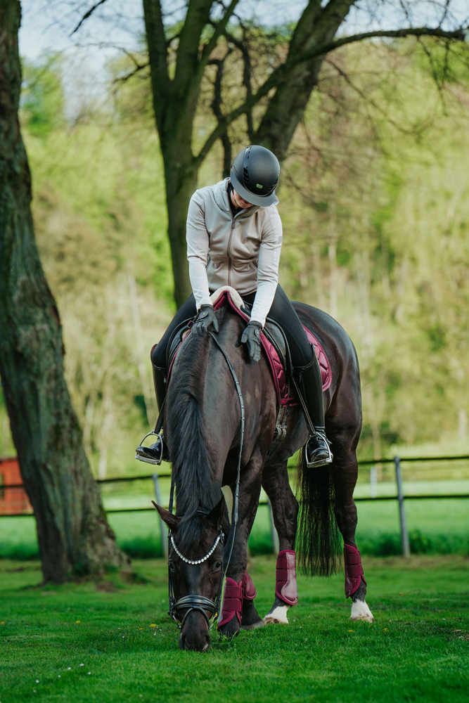 Pferdesport, Pferd, Säugetier, Person, Helm