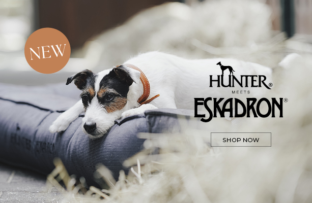 Hundebett, Hundekissen, Blau gestreift, Gepolstert, Hundebett, Hundekissen, Gestreift, Grau-Blau, Gepolstert, Hundebett, Hundedecke, grau gestreift