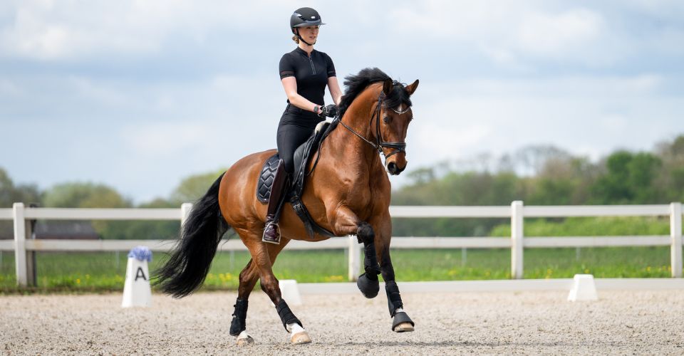 Pikeur products Pikeur product category