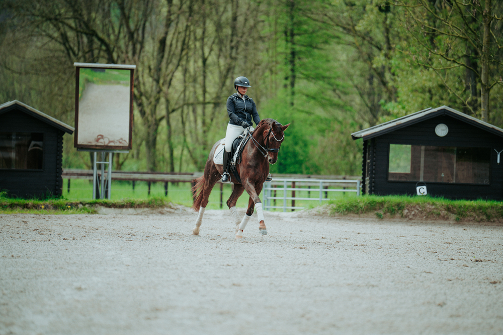 Pferdesport, Pferd, Säugetier, Person, Leute