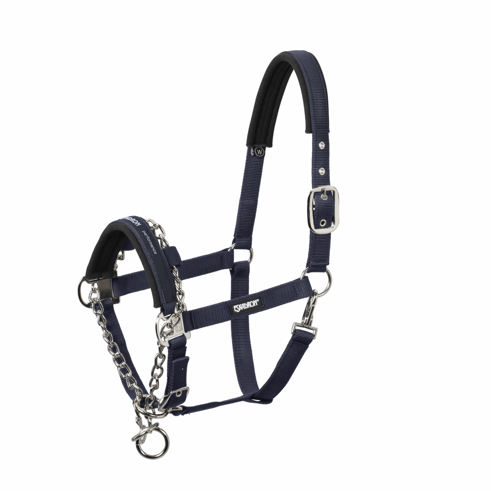 CONTROL PIN BUCKLE