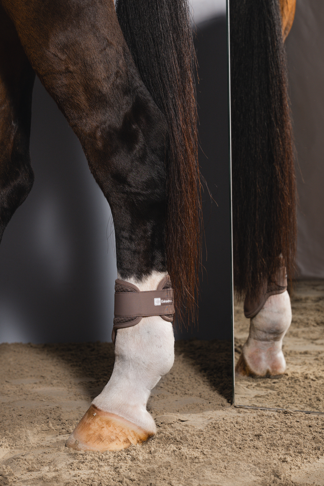 Pferdebein, Beinband, Gurt, braune Riemen, Huf